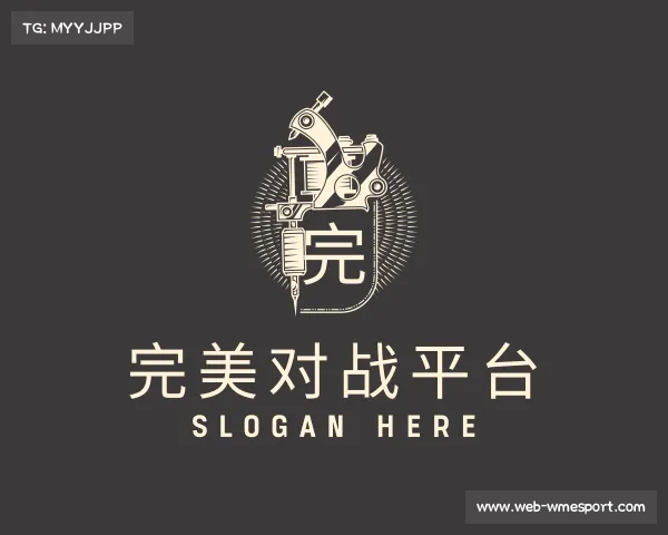 关于完美对战平台